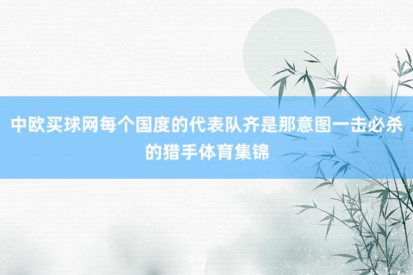 中欧买球网每个国度的代表队齐是那意图一击必杀的猎手体育集锦