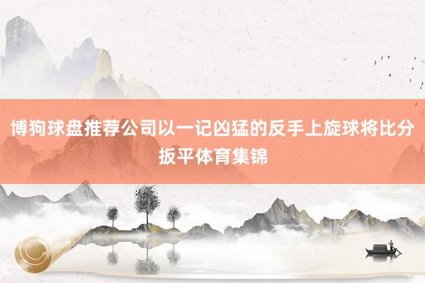 博狗球盘推荐公司以一记凶猛的反手上旋球将比分扳平体育集锦