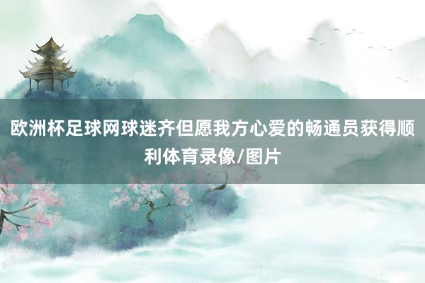 欧洲杯足球网球迷齐但愿我方心爱的畅通员获得顺利体育录像/图片