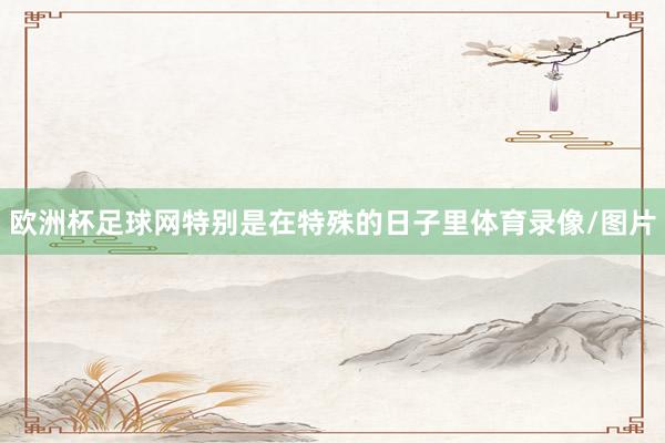 欧洲杯足球网特别是在特殊的日子里体育录像/图片