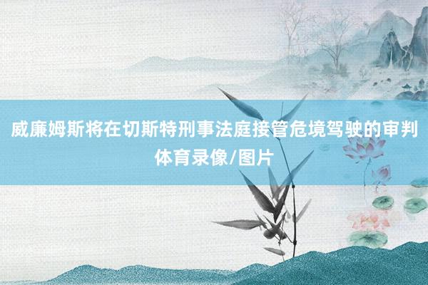 威廉姆斯将在切斯特刑事法庭接管危境驾驶的审判体育录像/图片