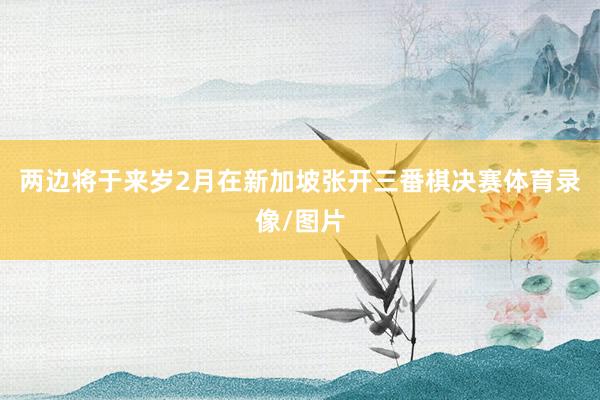 两边将于来岁2月在新加坡张开三番棋决赛体育录像/图片