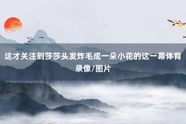 这才关注到莎莎头发炸毛成一朵小花的这一幕体育录像/图片