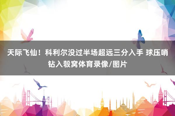 天际飞仙！科利尔没过半场超远三分入手 球压哨钻入彀窝体育录像/图片