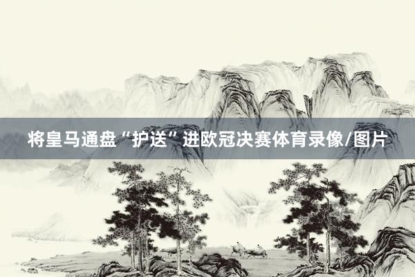将皇马通盘“护送”进欧冠决赛体育录像/图片