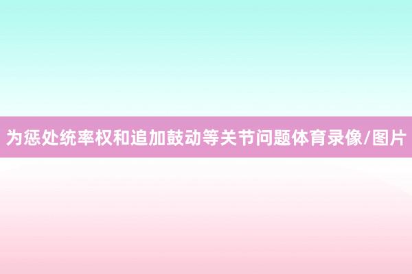 为惩处统率权和追加鼓动等关节问题体育录像/图片