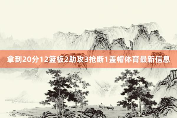 拿到20分12篮板2助攻3抢断1盖帽体育最新信息